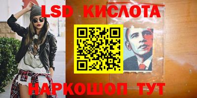 шишки Заволжье