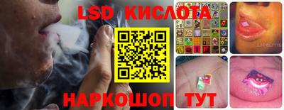 шишки Заволжье