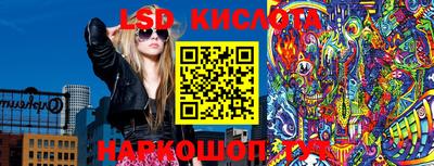 шишки Заволжье