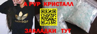шишки Заволжье