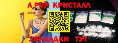 шишки Заволжье