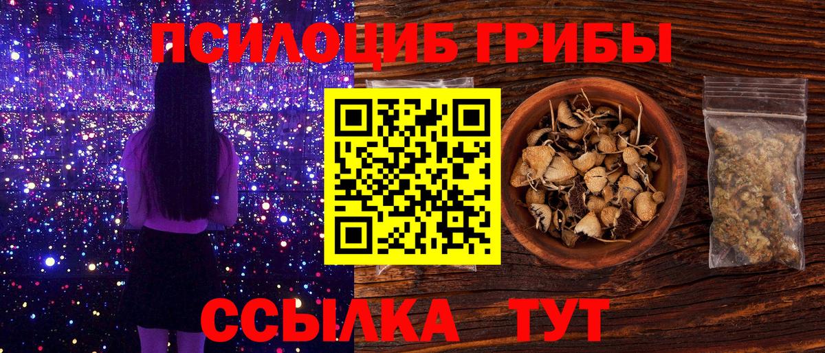 Псилоцибиновые грибы Cubensis Михайловск
