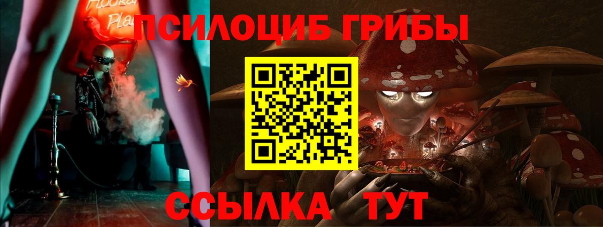 Михайловск  Галлюциногенные грибы мухоморы  Галлюциногенные грибы MAGIC MUSHROOMS  Вход с VPN 